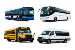 Buses & Coaches